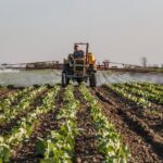 Polish farmer tractor field