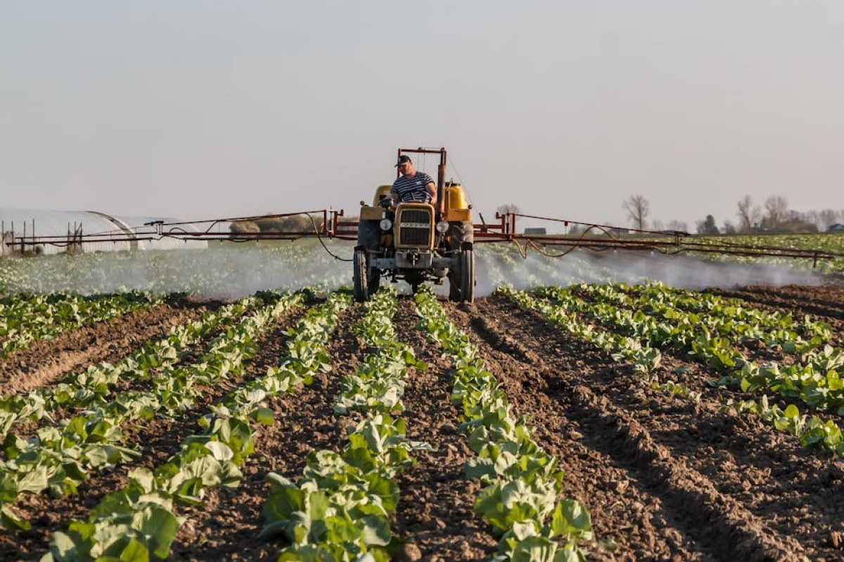 Polish farmer tractor field