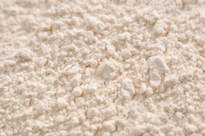powdered milk export