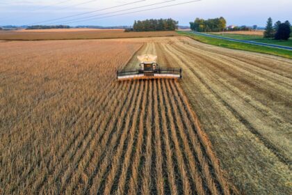 soybean field spraying