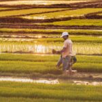farmer field insurance