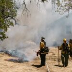forest fire firefighters