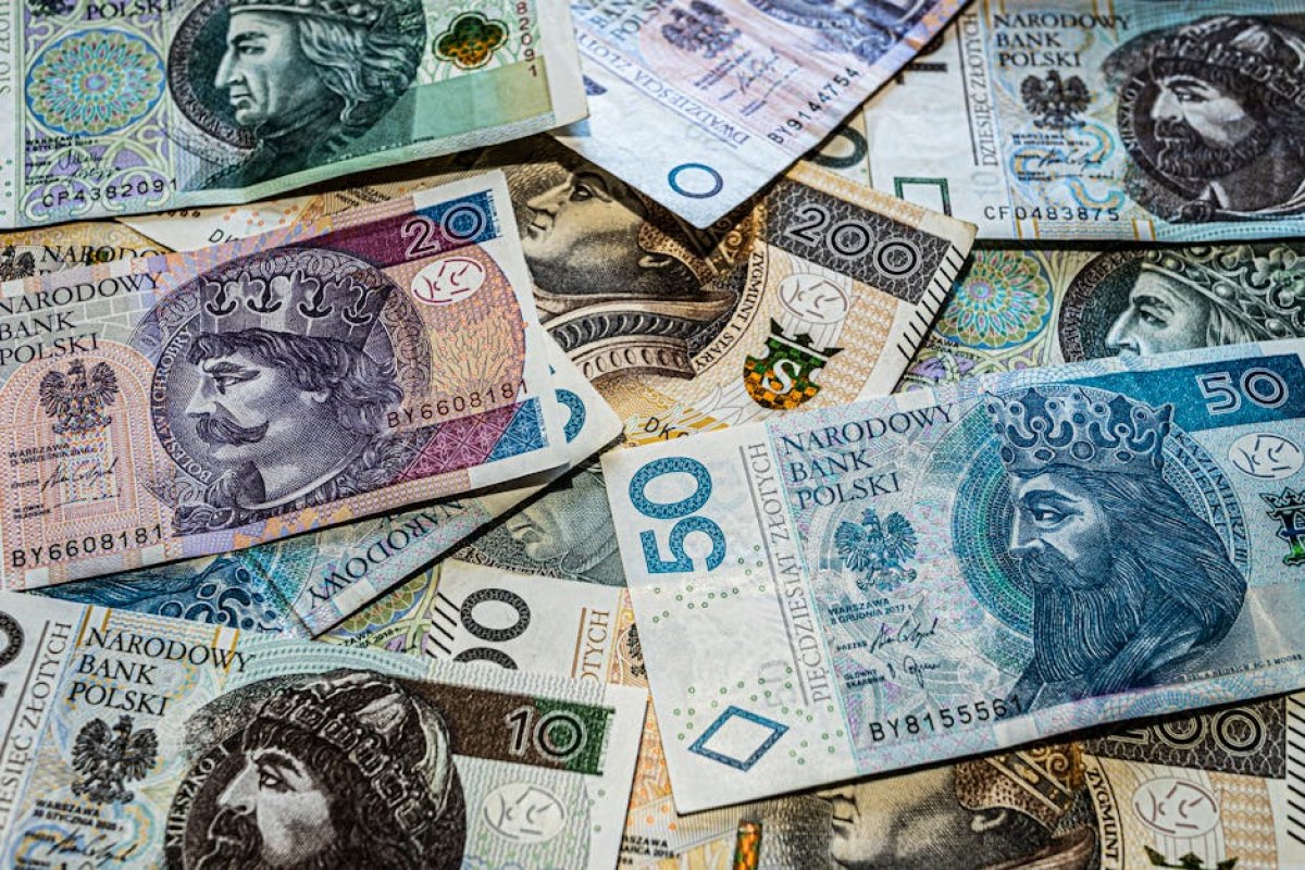 Polish zloty money