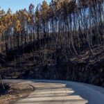 forest fire Warsaw