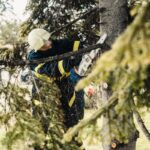 firefighters rescue woman tree