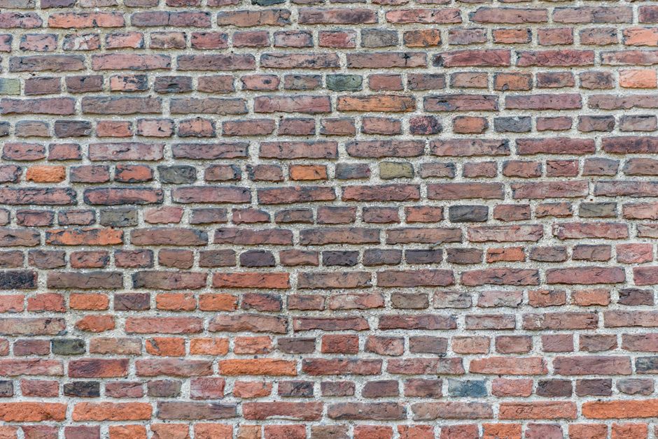 Nietypowe wykorzystanie wału Cambridge: walka z samosiewami rzepaku