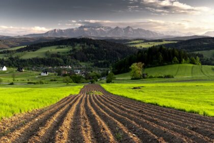 Ceny ziemi rolnej w 2026 roku: od 56 tys. do 120 tys. zł za hektar