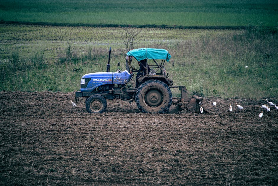 Tractor Junction nagradza pracowników po wzroście przychodów o 62%