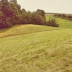PROW 2014–2020: 81 mld zł wsparcia dla polskiej wsi – bilans programu