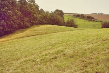 PROW 2014–2020: 81 mld zł wsparcia dla polskiej wsi – bilans programu