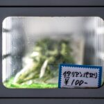 Młodzi rolnicy z Mościenicy: warzywomat, bydło i płodozmian – przepis na sukces