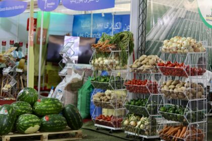 Nabór dla sektora owoców i warzyw – wnioski do 27 lipca 2026