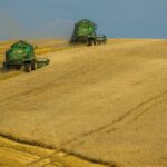 VII Krajowe Dni Pola w Szepietowie – największe wydarzenie rolnicze w Polsce już w czerwcu