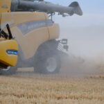 Żniwa 2026: operator kombajnu może zarobić nawet 600 zł dziennie