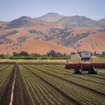 AgriFood Signals: Bayer wygrywa sprawę Roundup, zmiana CEO w Vow, Reservoir przejmuje Contain