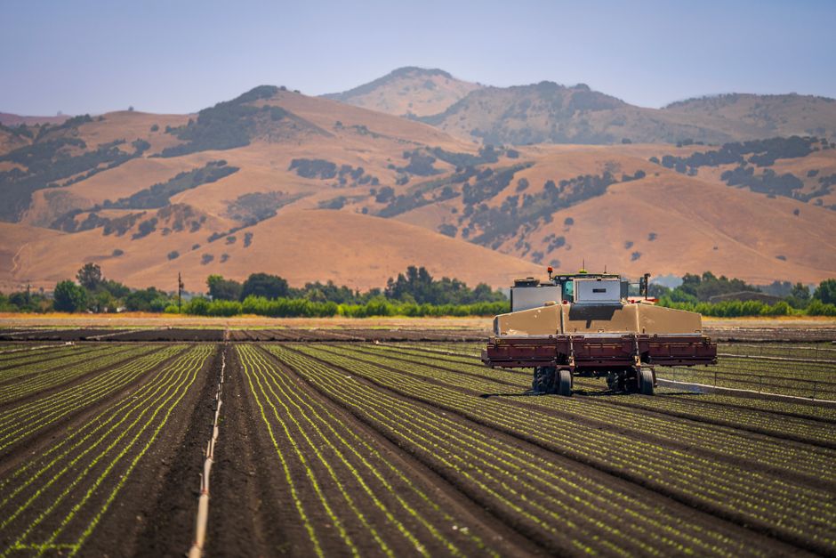 AgriFood Signals: Bayer wygrywa sprawę Roundup, zmiana CEO w Vow, Reservoir przejmuje Contain