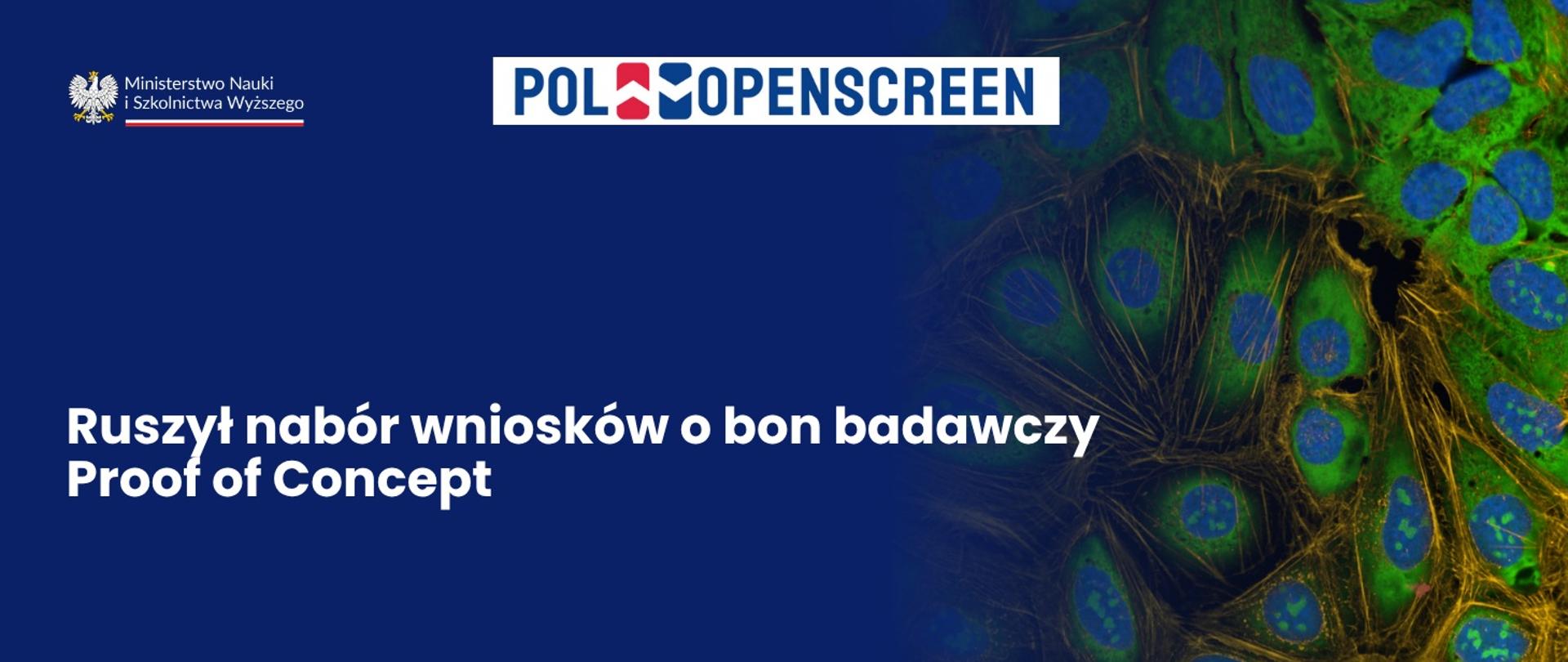 Bon badawczy Proof of Concept: 50 tys. zł na weryfikację hipotez biomedycznych