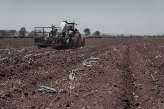 Premie dla młodych rolników: wnioski do 30 lipca – nawet 300 tys. zł