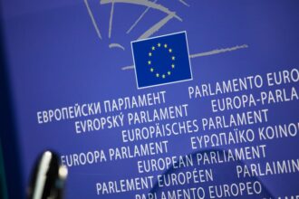 Polska w czołówce UE: ruszył System Techniczny Jednolitego Portalu Cyfrowego
